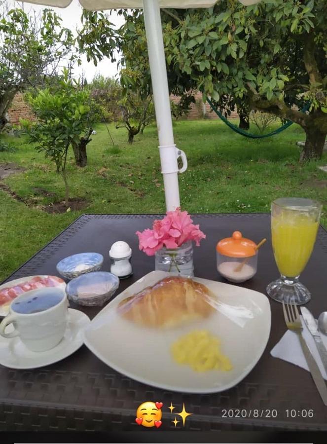 Tababela Airport B&B Экстерьер фото