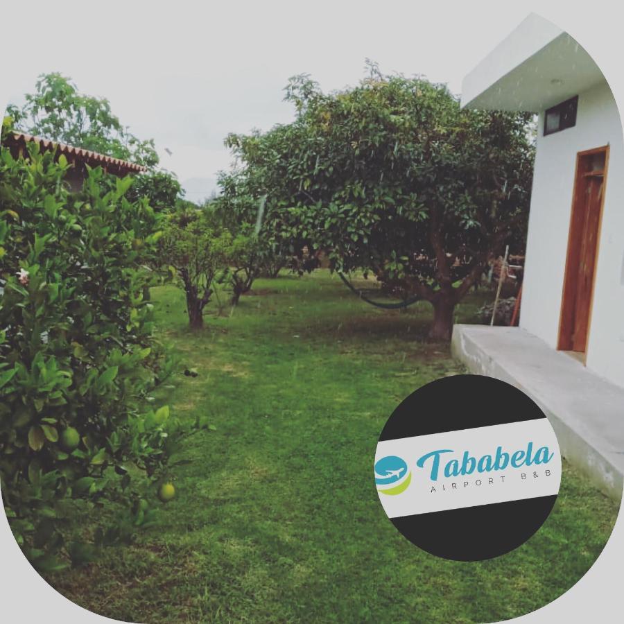 Tababela Airport B&B Экстерьер фото